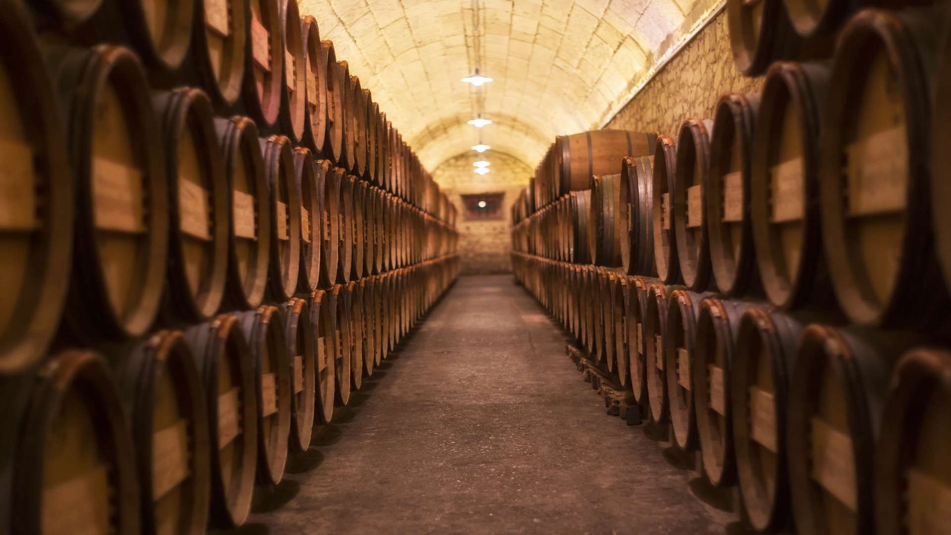 Bodega Mallorca