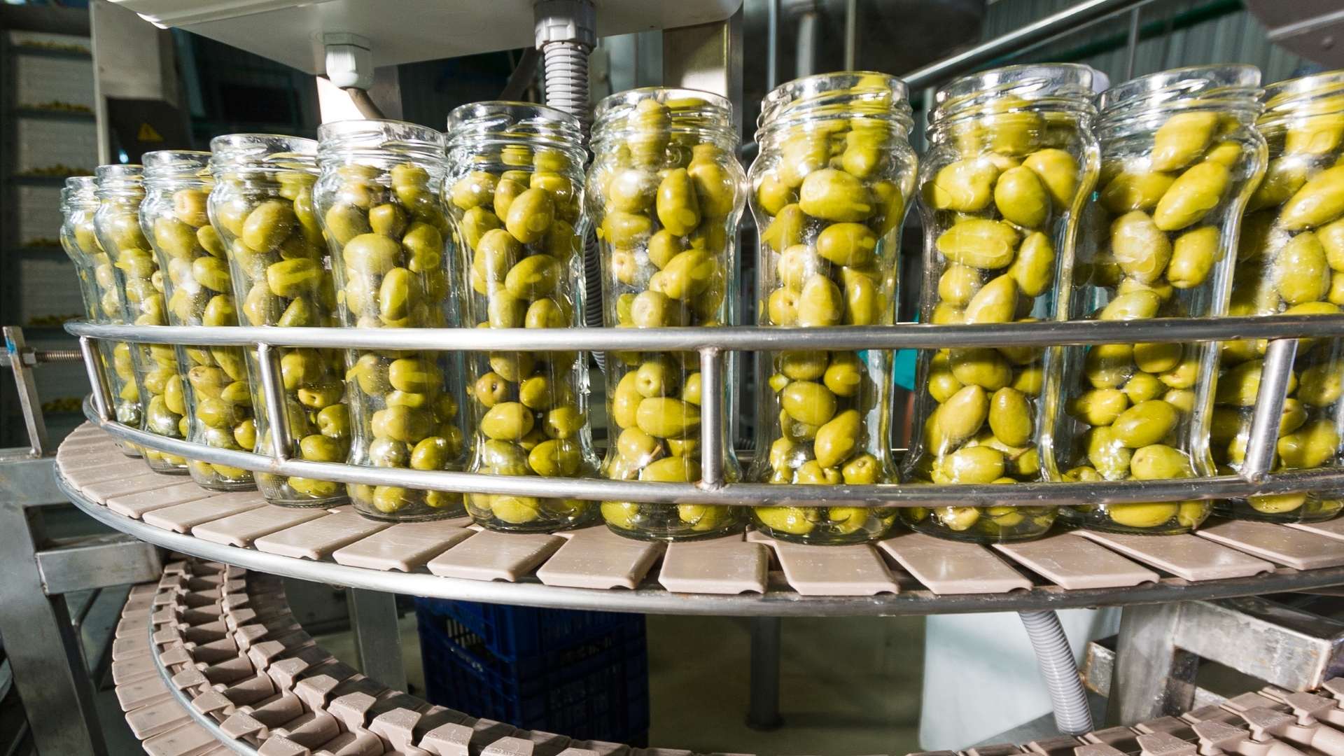 Olives mallorquines